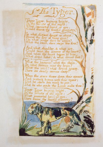 De tijger, uit Songs of Innocence door William Blake